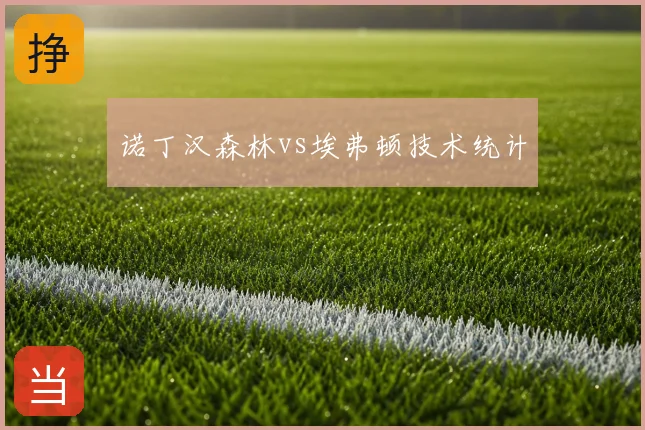 诺丁汉森林vs埃弗顿技术统计
